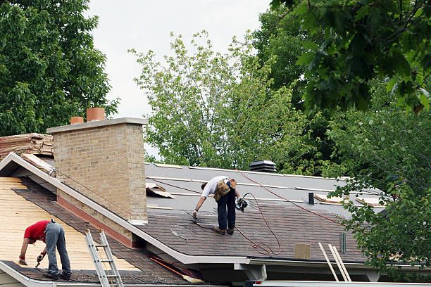 Best Storm Damage Roof Repair  in Skyline View, PA